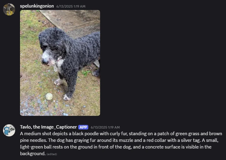 Example of Discord Caption Bot in Action